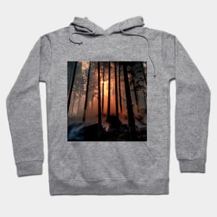 SCENERY 84 - Sunset Forest Tree Silhouette Natural Environment Hoodie